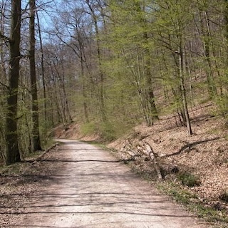 Viezkelterstationoder IRT